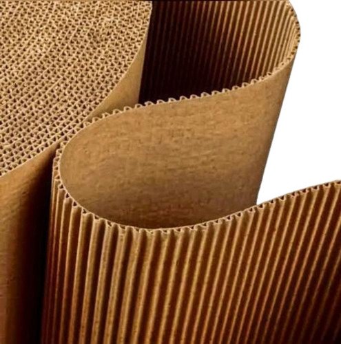 2 Ply Corrugated Carton Rolls